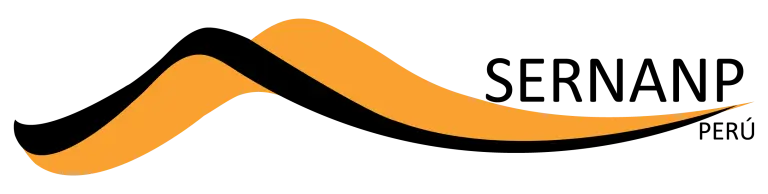 Icono 1